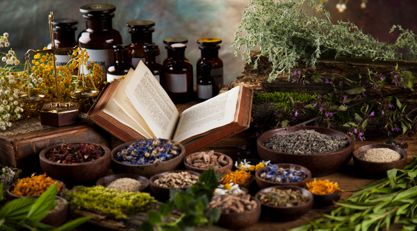 Unearthing the Ancient Origins of Herbal Medicine: A Journey Through Time