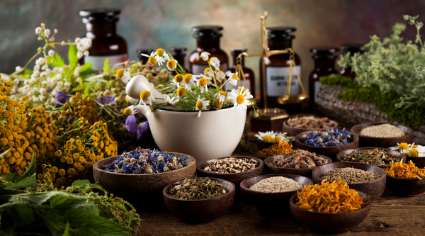 Unlocking the Benefits of Herbal and Traditional Medicine