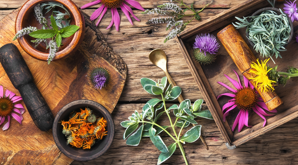 Exploring the World of Adaptogenic Herbs