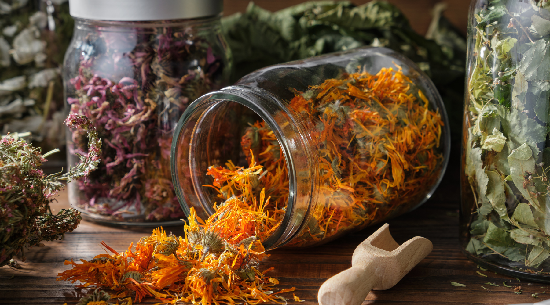 4 Ways You Can Incorporate Herbs Into Your Daily Routine – Canaherb