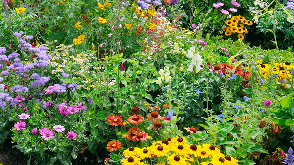 Springtime Gut Reset: Herbs for Digestion & Bloating